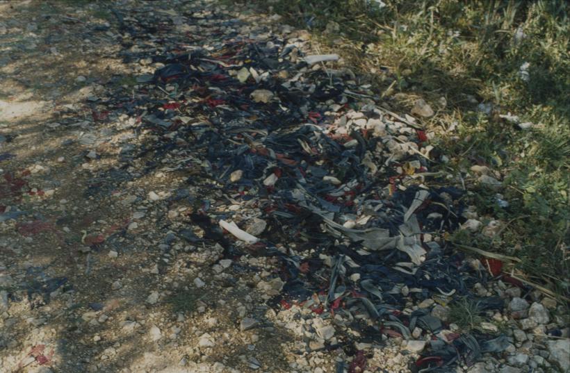 Deponij uz put ispred tv. 