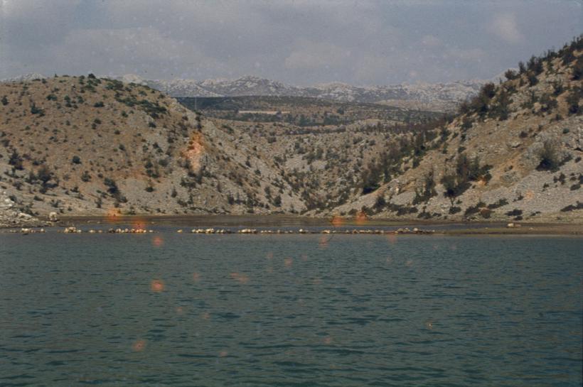 Zrmanja od Obrovca prema Jankovića buku; proboj pogled na Velebit