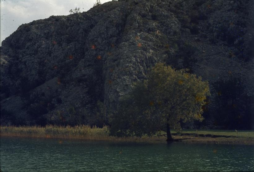 U kanjonu Zrmanje pašnjak pored vode iznad Obrovca