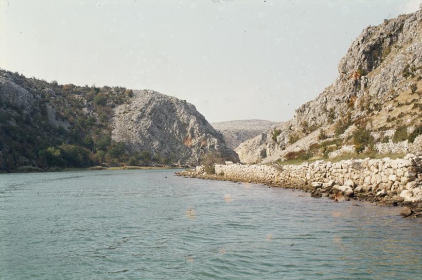Kanjon Zrmanje ispod Jankovića buka krave se odmaraju uz desnu obalu