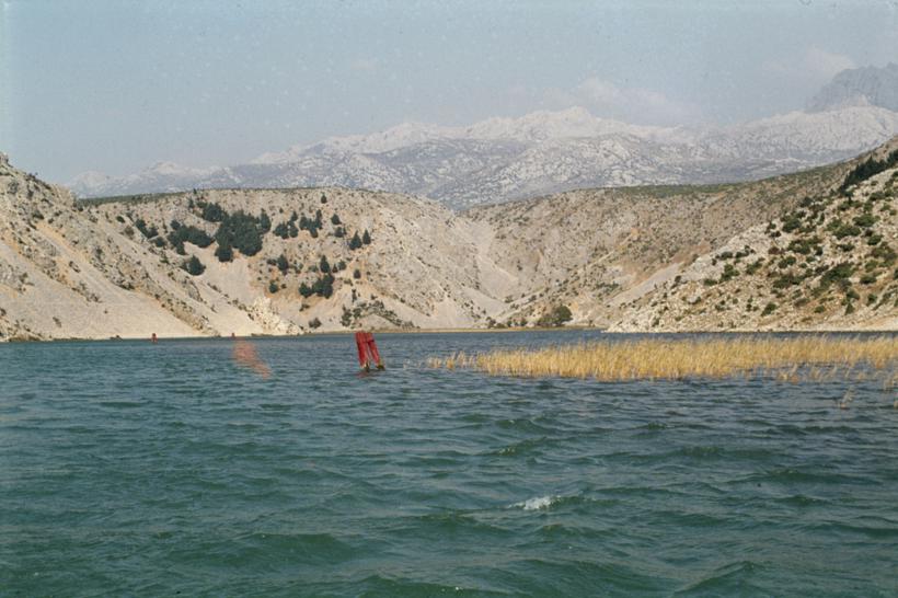U kanjonu Zrmanje pašnjak pored vode iznad Obrovca