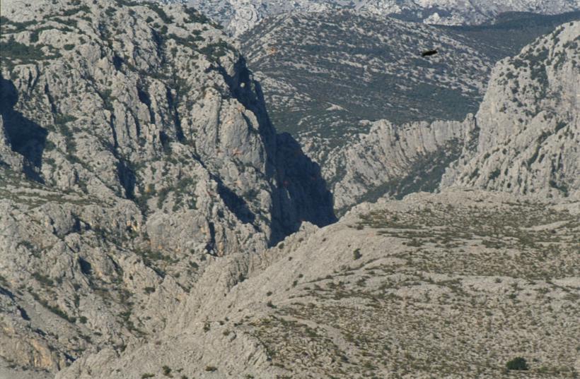 Pogled s mora  teleobjektivom na Malu Pkalenicu