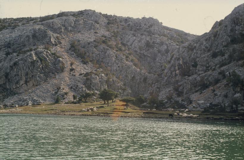 Kanjon Zrmanje - pašnjak pored vode