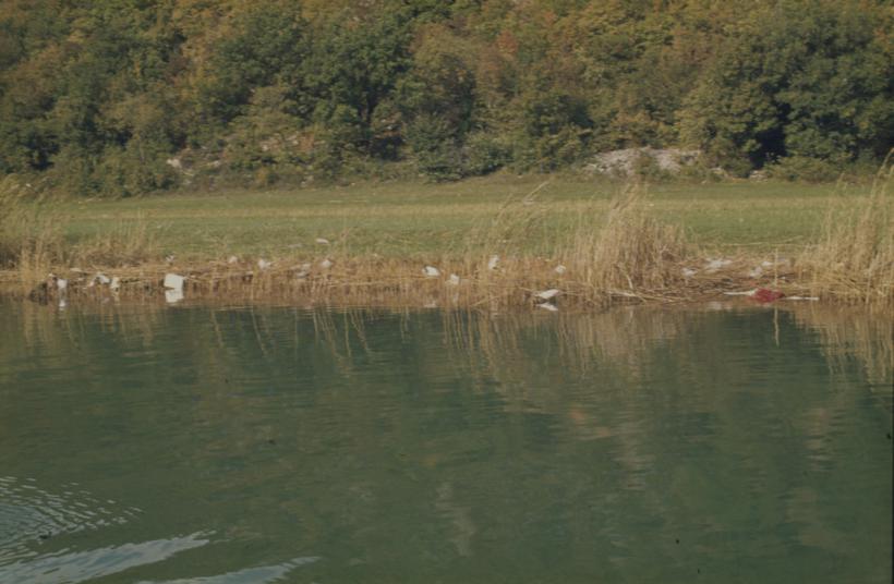 Otpad plastike i ostalog smeća u trski uz rijeku odmah ispod naselja-nizvodno od mosta