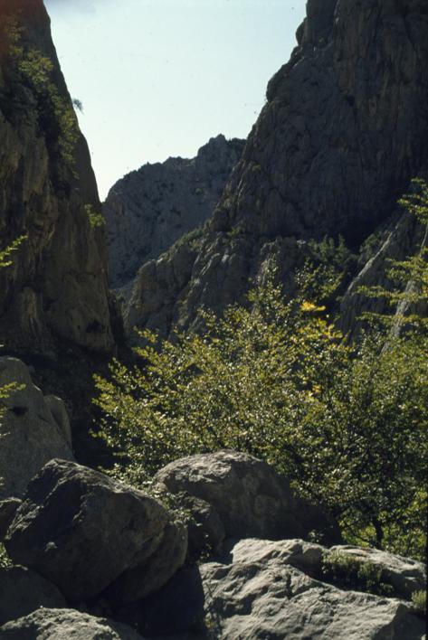 U proboju V. Paklenice