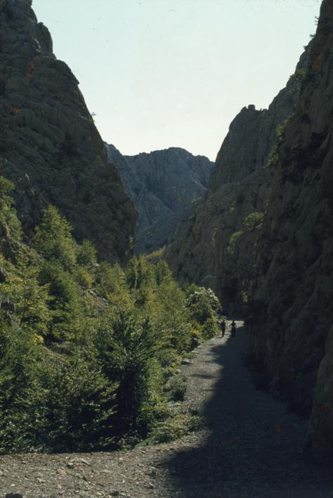 Kroz proboj V. Paklenice