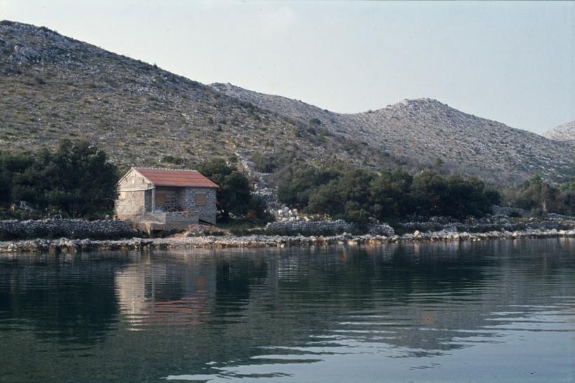 Uvala Magrovica - divlja izgr-