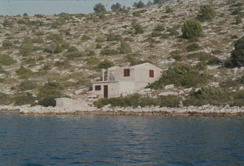 Uvala Magrovica - divlja izgr-