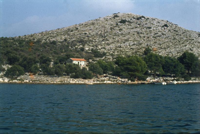 Uvala Magrovica - divlja izgr-