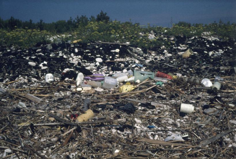 Plaža zagađena mazutom i plastikom
