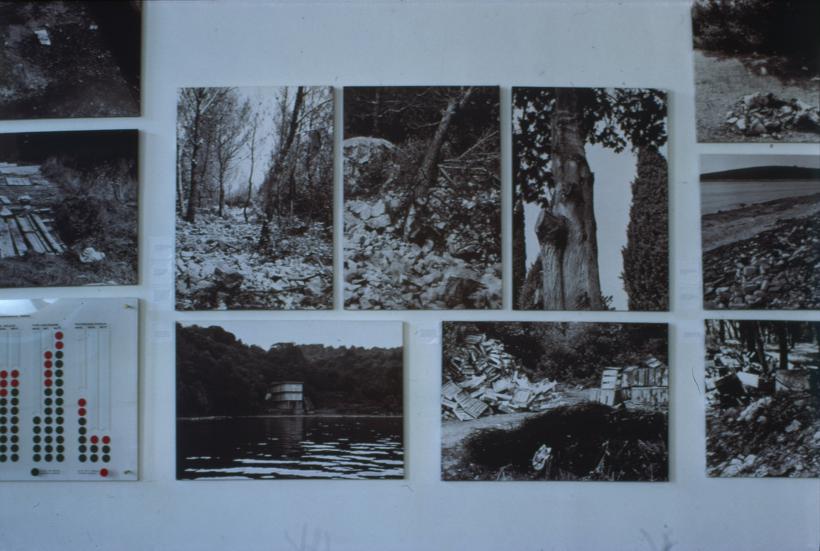 Problem zelenih površina i divlja izgradnja