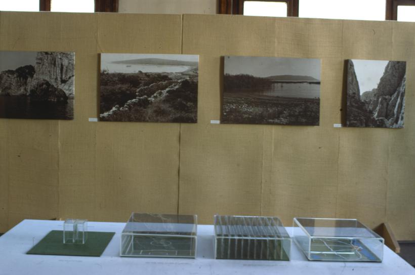 Desno u prostoru na panou lokaliteti - klifoci D. ot., Saharun, Vransko j., Paklenica, a ispred maketa - biljke tvorci kisika