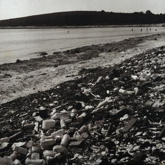 Sakarun - zagađenje plastikom i mazutom