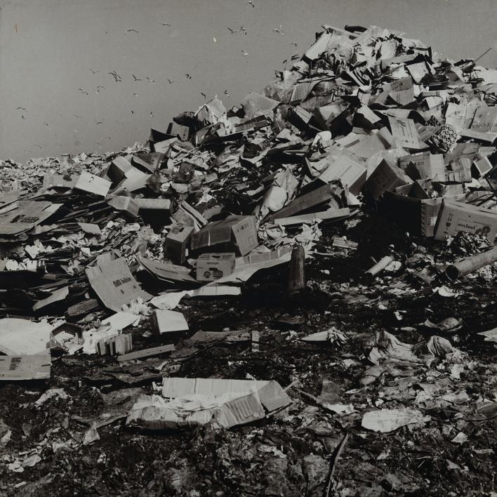 Hrpe smeća visoke 3-4 m nadlijeću galebovi - deponij