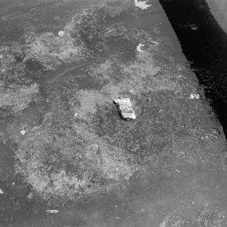 Zagađivanje mora u Jazinama ispred kuće Ulč. Nikole tesle 3