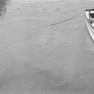 Ispusni kanal B.. Kidrič - ispuštaju škrob - kao surutka