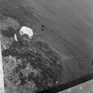 Zagađivanje mora - ispred Crvene kuće - Nikole Tesle 3