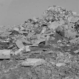 Hrpe smeća visoke 3-4 m nadlijeće jato galebova - deponij