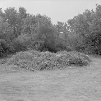 Nakupine smeća  - zapaljivo - galićeva draga