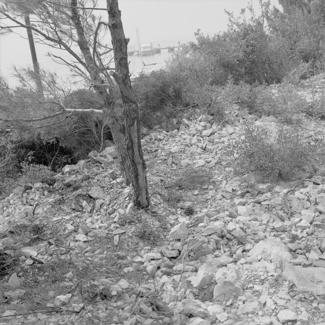 Posječevna šuma i minirano 2 m od saobraćajnice, a postojala mogućnost uz rub ceste