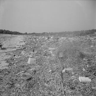 Saharun - zagađenje po čitavoj dužini plaže