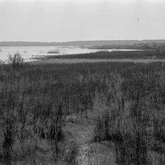 Vransko jezero, pogled prema restoranu od pumpne stanice na sj. - zap. dijelu
