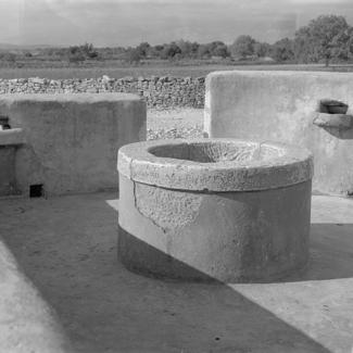 Pećarevac; kruna gledana sa zap. strane