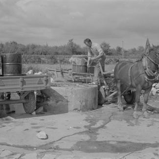 Lokvenjak; pored bunara traktori konjska zaprega