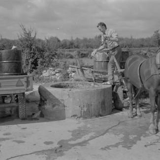 Lokvenjak; način korištenja vode