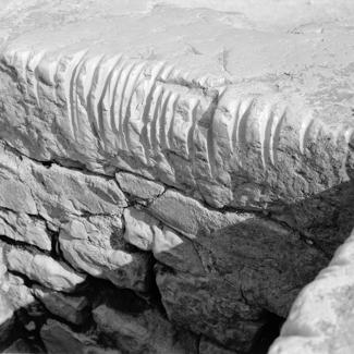 Nadinić; rub krune izlokan konopcem