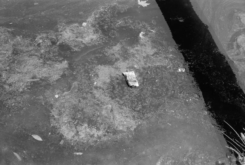 Zagađivanje mora u Jazinama ispred kuće Ulč. Nikole tesle 3