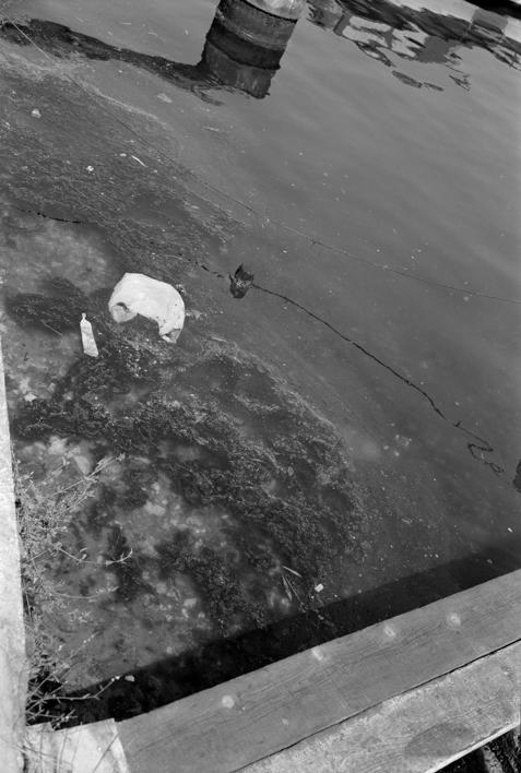 Zagađivanje mora - ispred Crvene kuće - Nikole Tesle 3