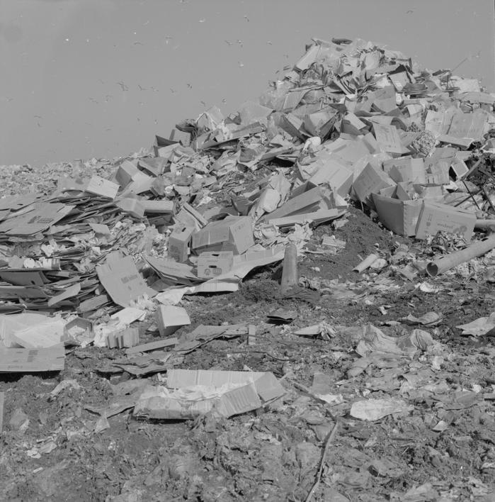 Hrpe smeća visoke 3-4 m nadlijeće jato galebova - deponij