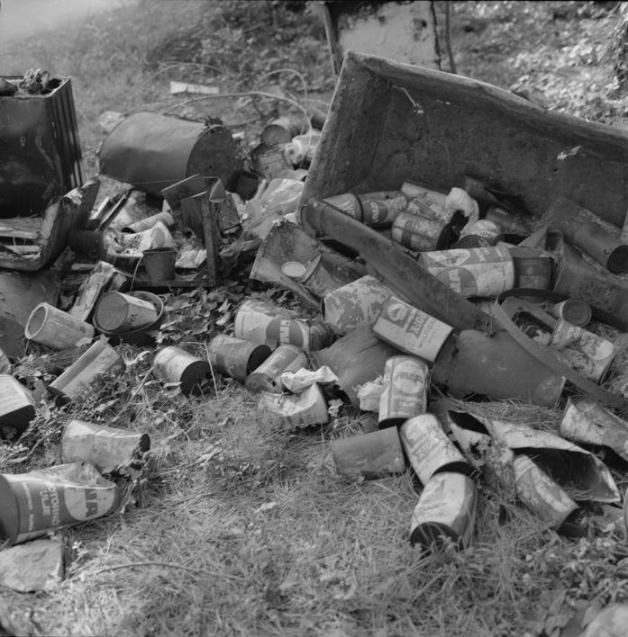 Smeće pored puta od raskrižja - od Nina za Borik