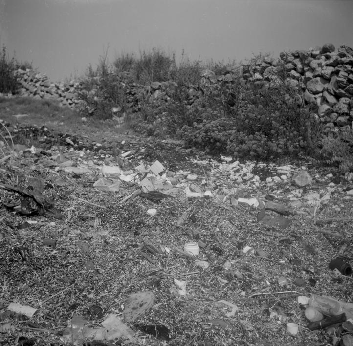 Saharun - zagađene alge, plastike i mazuta prema ulazu iz Solina