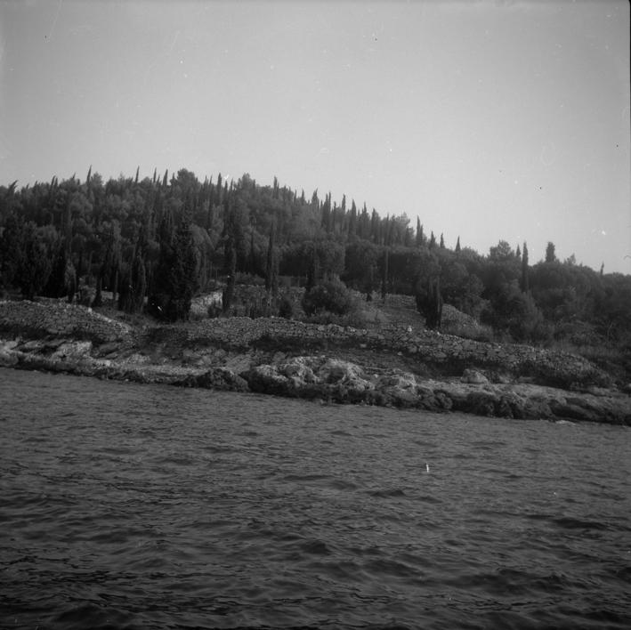 Kukljica - borova šuma i čempresa