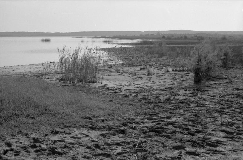Vransko jezero - pogled na restoran