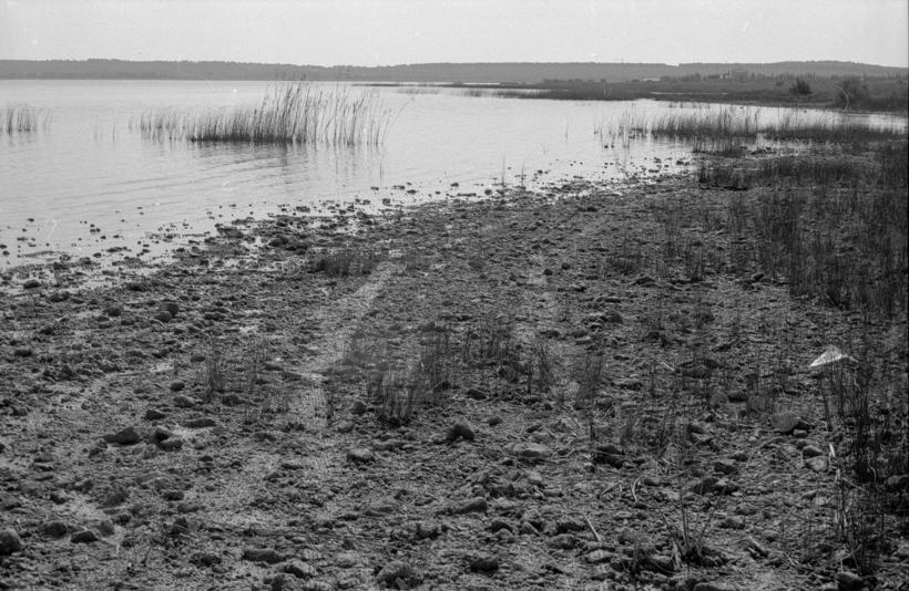 Vransko jezero - sj.- zap. dio