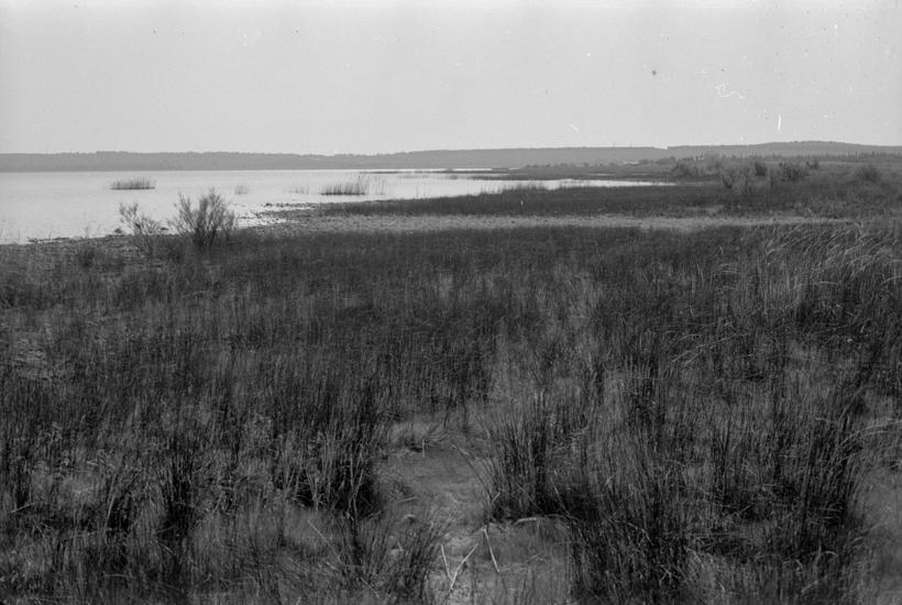 Vransko jezero, pogled prema restoranu od pumpne stanice na sj. - zap. dijelu