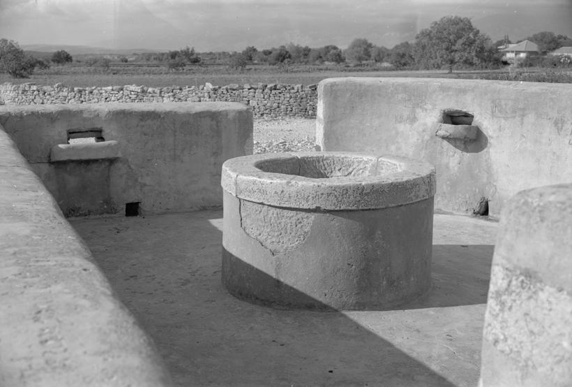 Pećarevac; kruna gledana sa zap. strane