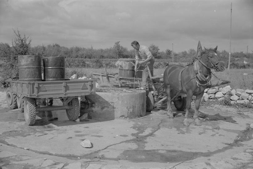 Lokvenjak; pored bunara traktori konjska zaprega