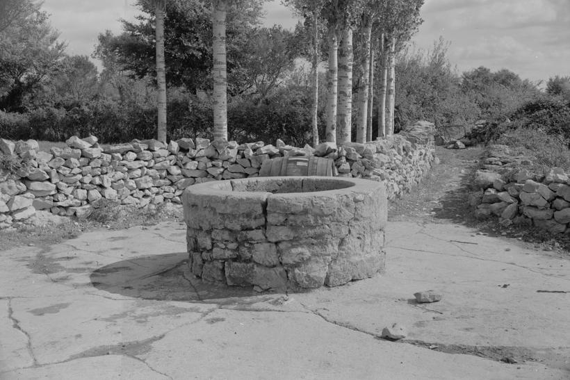 Škarin gornji; detaljnije