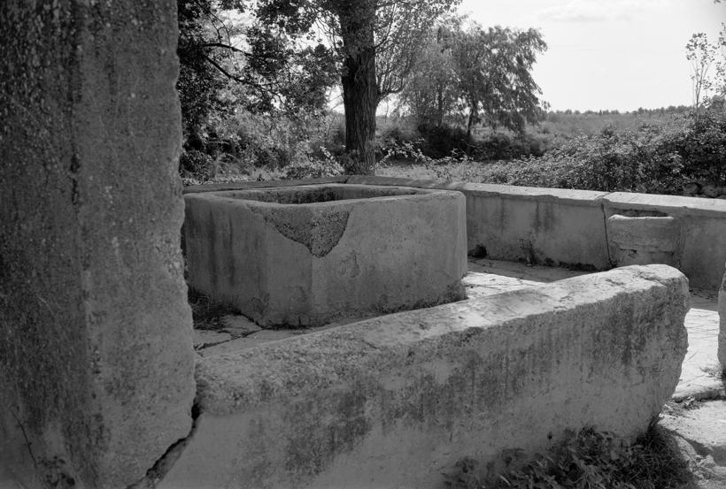 Škarin donji; kruna gledana iz kuta